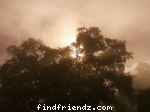 taken @ kodaikanal b