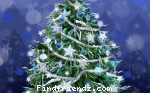 Chirstmas
