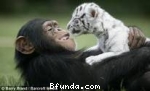 best animal:)