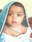 Falak