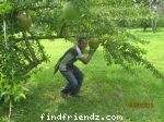THE BIGGEST FRUIT TH