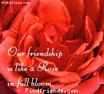 rose for friendship