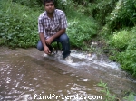 In the forest of kaz
