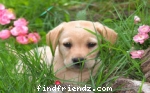 ma fav <3 pics :)
