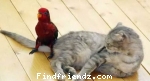 funny