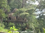 TREE HUT