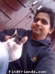 My lovely cat