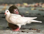 love like this