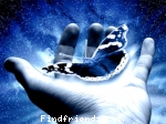 Butterfly Nice